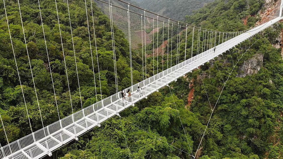 Vietnam longest Bach Long pedestrian glass bottom bridge in world | Longest Bridge: ये है दुनिया का सबसे लंबा पैदल कांच का पुल, जहां डरना है मना! | Hindi News,