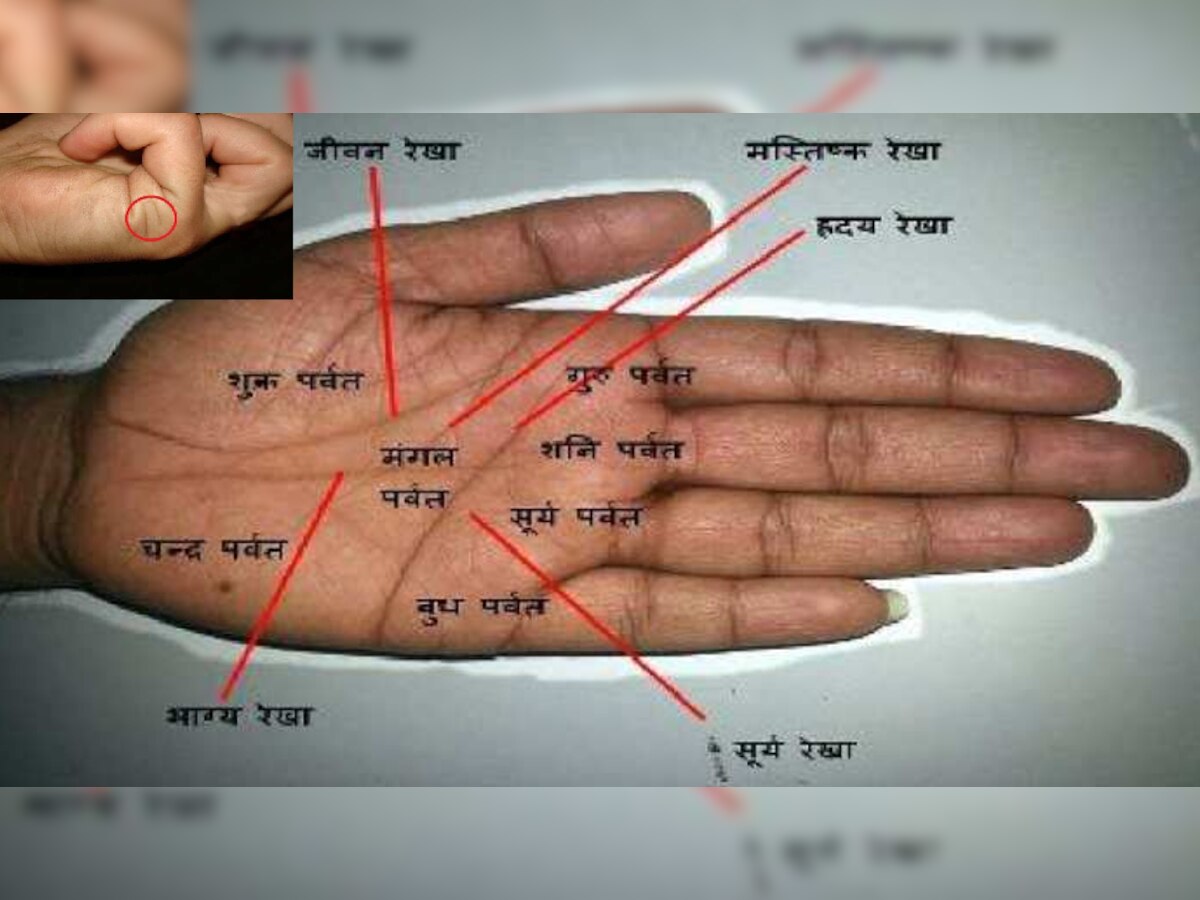 Palmistry: हाथ की ये रेखाएं बनाती हैं भाग्यवान, मिलती है सुंदर पत्नी!