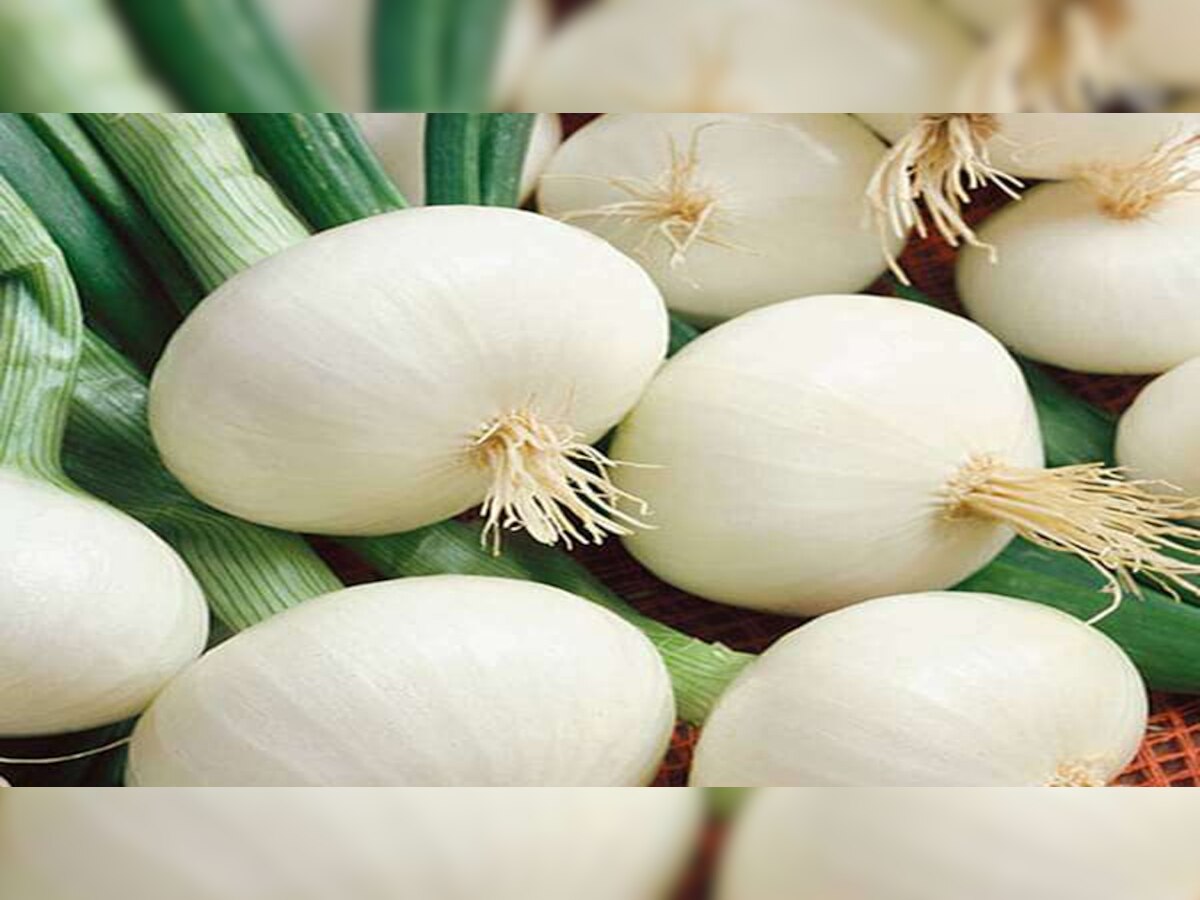 White onion benefits for young men it improve sexual health and improve