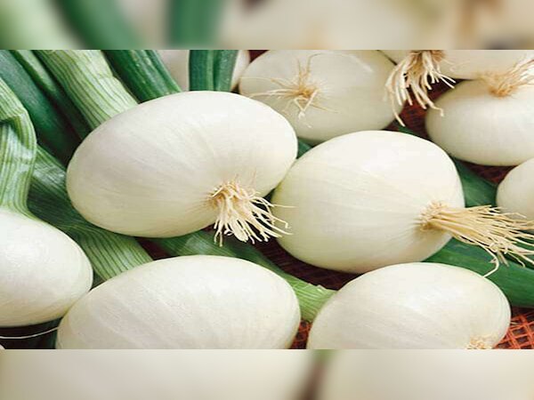White onion benefits: मर्दों के लिए बेहतरीन चीज है सफेद प्याज, फायदे जान उड़ जाएंगे होश