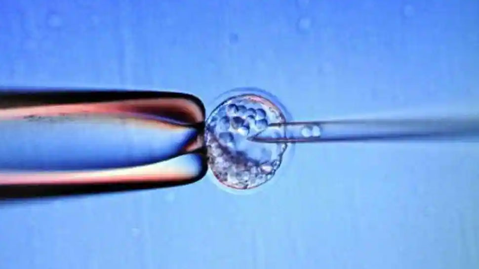 Mumbai Couple moves Bombay High Court over frozen embryo after changes