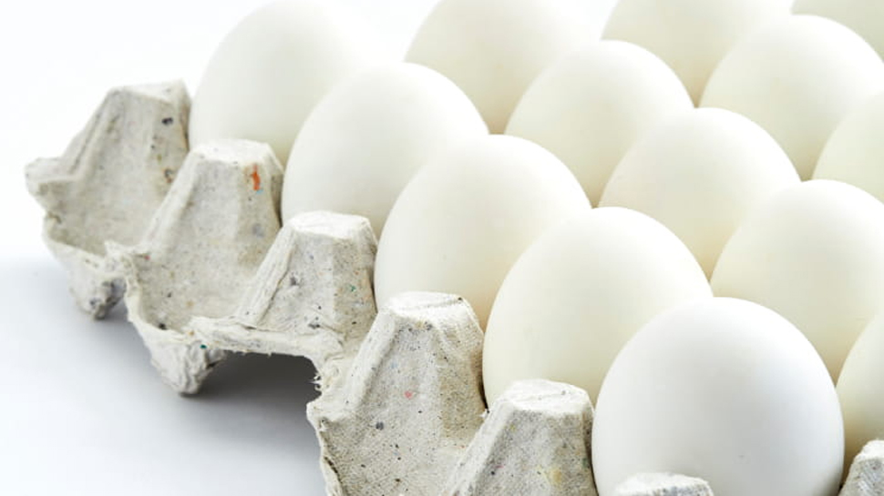 Eggs benefits: शादीशुदा पुरुष रोजाना ऐसे करें उबले हुए अंडे का सेवन; दिखेंगे चमत्कारी बदलाव Eggs benefits: शादीशुदा पुरुष रोजाना ऐसे करें उबले हुए अंडे का सेवन; दिखेंगे चमत्कारी बदलाव