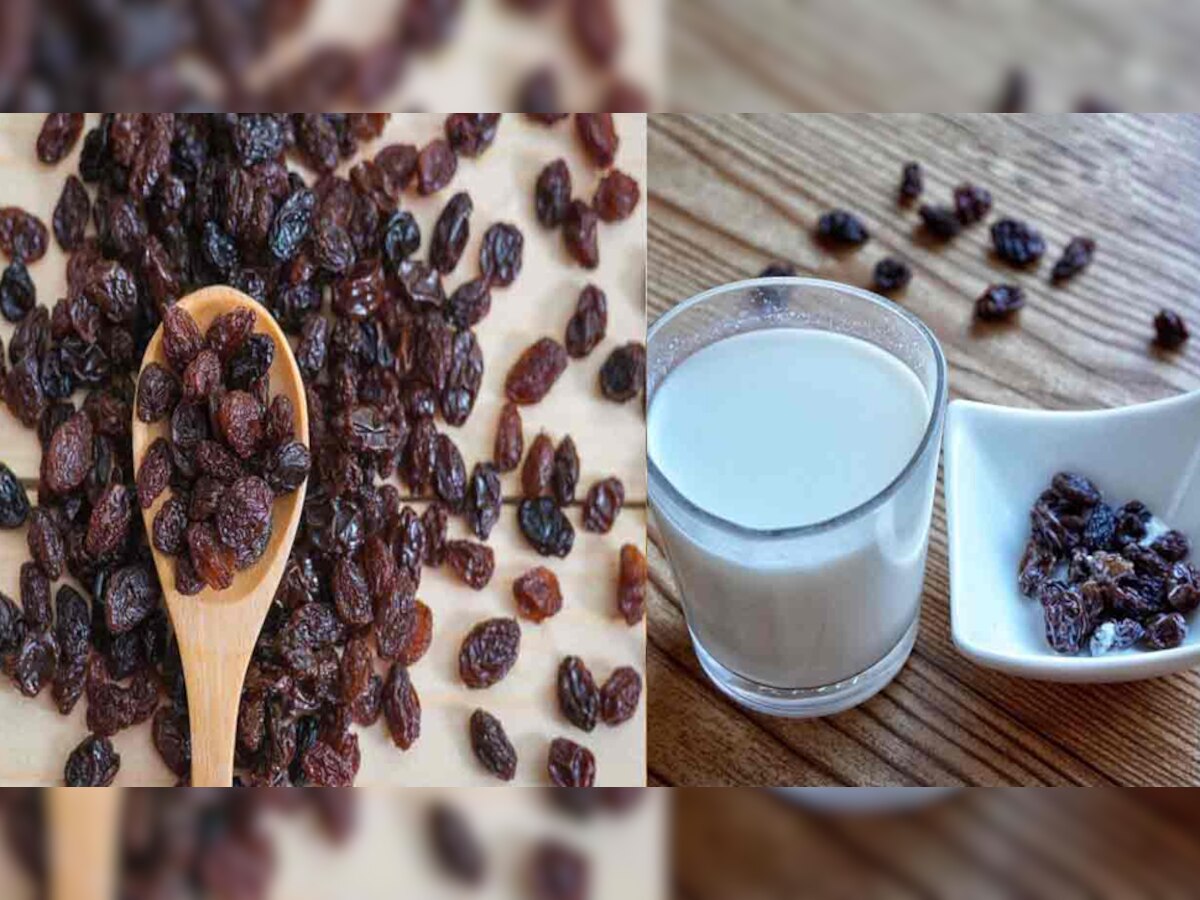 Mix Milk with Raisins To Increase Male Fertility Sperm Count Quality Weakness Strength Men's