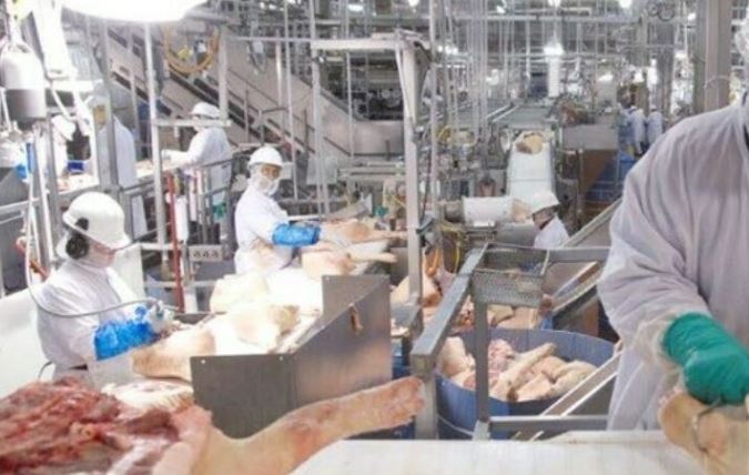 अलीगढ़ में मांस फैक्ट्री के 37 कर्मचारी गिरफ्तार, पशुओं से क्रूरता का लगा इल्जाम