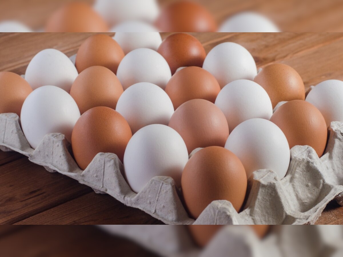 Brown eggs vs White eggs: देसी और फार्म के अंडे में कौनसा ज्यादा पोष्टिक; जानिए क्या कहते हैं एक्सपर्ट्स