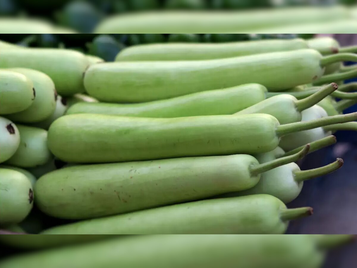 Bottle gourd benefits: गर्मियों में लौकी और उसका जूस है दमदार चीज; फायदे जान हो जाएंगे हैरान