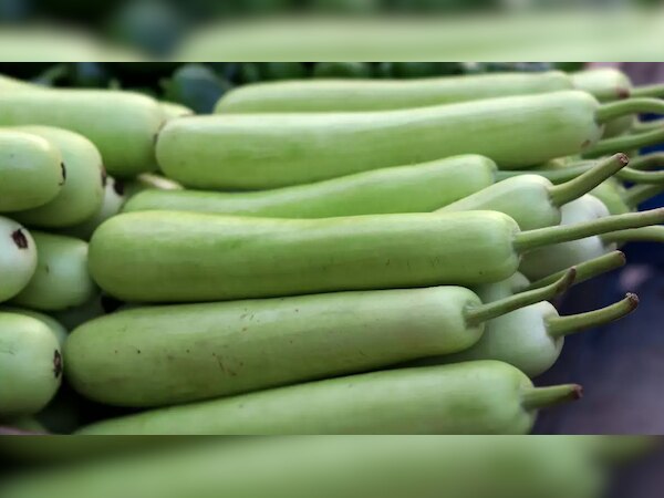 Bottle gourd benefits: गर्मियों में लौकी और उसका जूस है दमदार चीज; फायदे जान हो जाएंगे हैरान