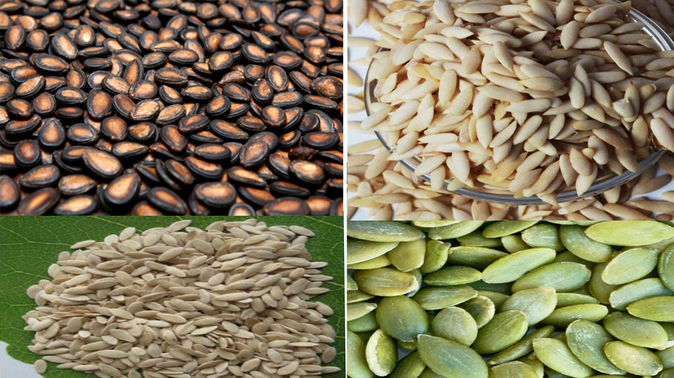 Char Magaz benefits: यह बीज शादीशुदा पुरुषों के लिए हैं रामबाण; मर्द ऐसे करें सेवन Char Magaz benefits: यह बीज शादीशुदा पुरुषों के लिए हैं रामबाण; मर्द ऐसे करें सेवन