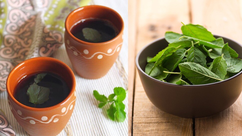 Health news Benefits of Basil Pepper Tea know here Benefits of Black