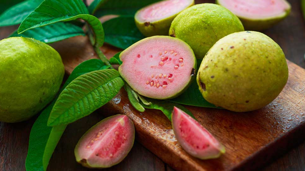 Guava benefits: मर्दों के लिए लाजवाब चीज है अमरूद; शादीशुदा पुरुष ऐसे करें सेवन Guava benefits: मर्दों के लिए लाजवाब चीज है अमरूद; शादीशुदा पुरुष ऐसे करें सेवन