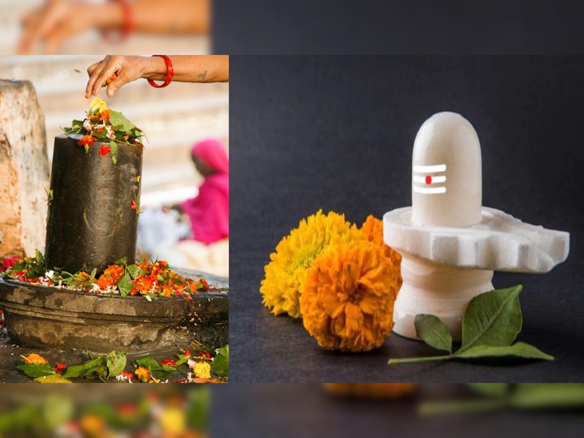 Shivling Puja: शिवलिंग की पूजा करते वक्त भूलकर भी ना चढ़ाए ये चीज,  वरना हो जाएगा नुकसान!