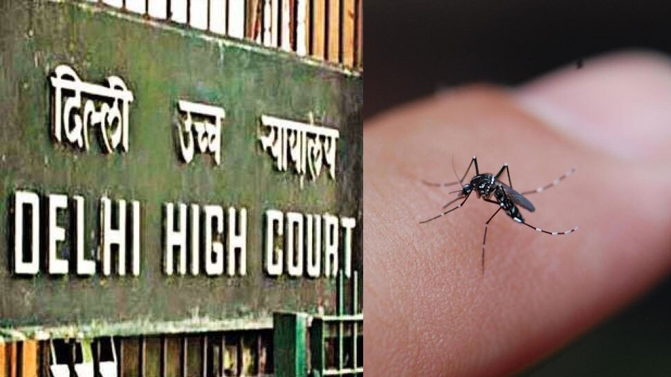 Delhi: दिल्ली में पनप रहे मच्छर, सरकार जुर्माना बढ़ाकर 50 हजार रुपये करने की समीक्षा करे: HC