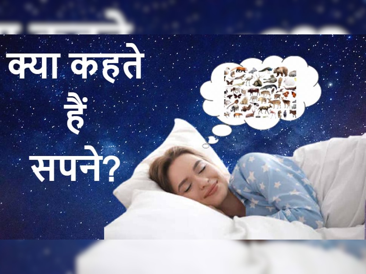 फाइल फोटो.