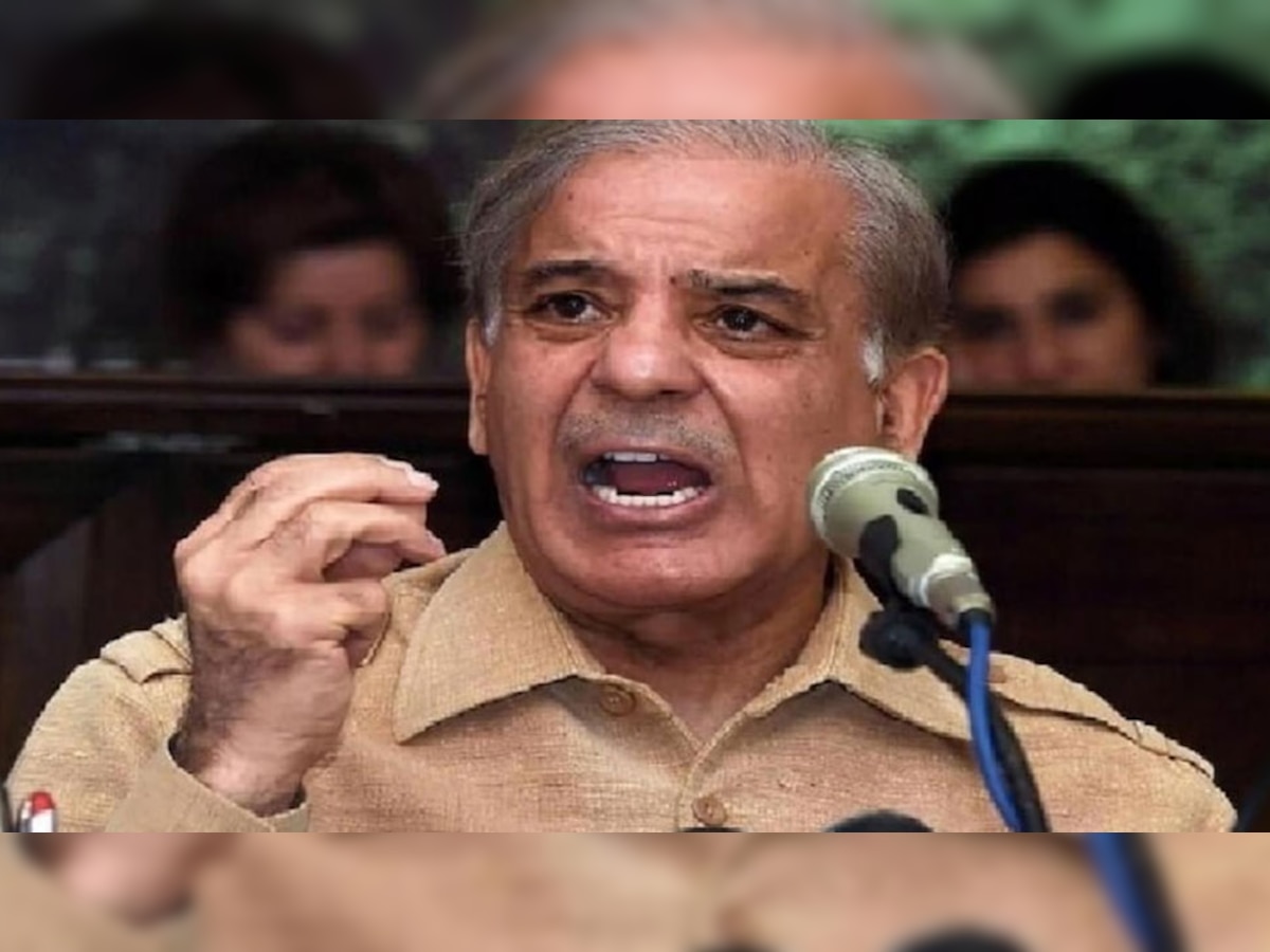 Shehbaz Sharif: पाकिस्तान के PM शहबाज शरीफ ने फिर अलापा कश्मीर राग, इस बार कर दी ये बचकानी बात