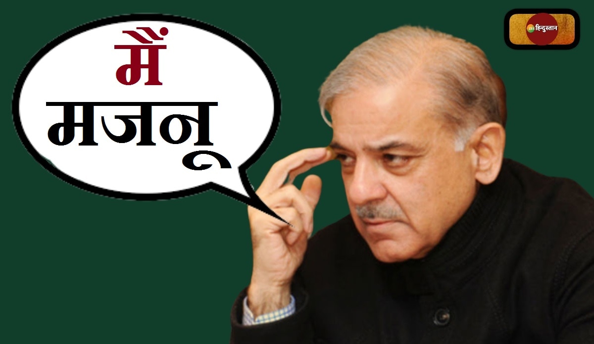 शहबाज शरीफ ने खुद को क्यों कहा &#039;मजनू&#039;? पाकिस्तानी पीएम के इस बयान के मायने समझिए