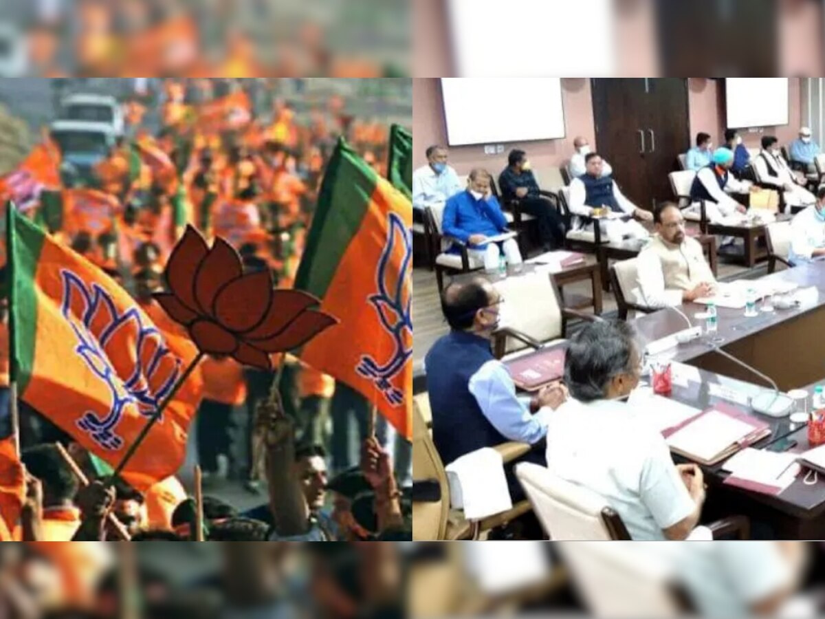 MP पंचायत चुनाव को लेकर BJP का बड़ा फैसला, मंत्रियों को दी गई ये जिम्मेदारी