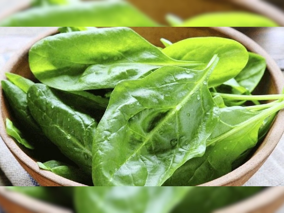 Spinach Benefits: पालक के फायदे जान लेंगे तो रोज खाएंगे, इस हरी सब्जी से पुरुषों में बढ़ता है स्पर्म काउंट, जानें और भी चमत्कारी फायदे
