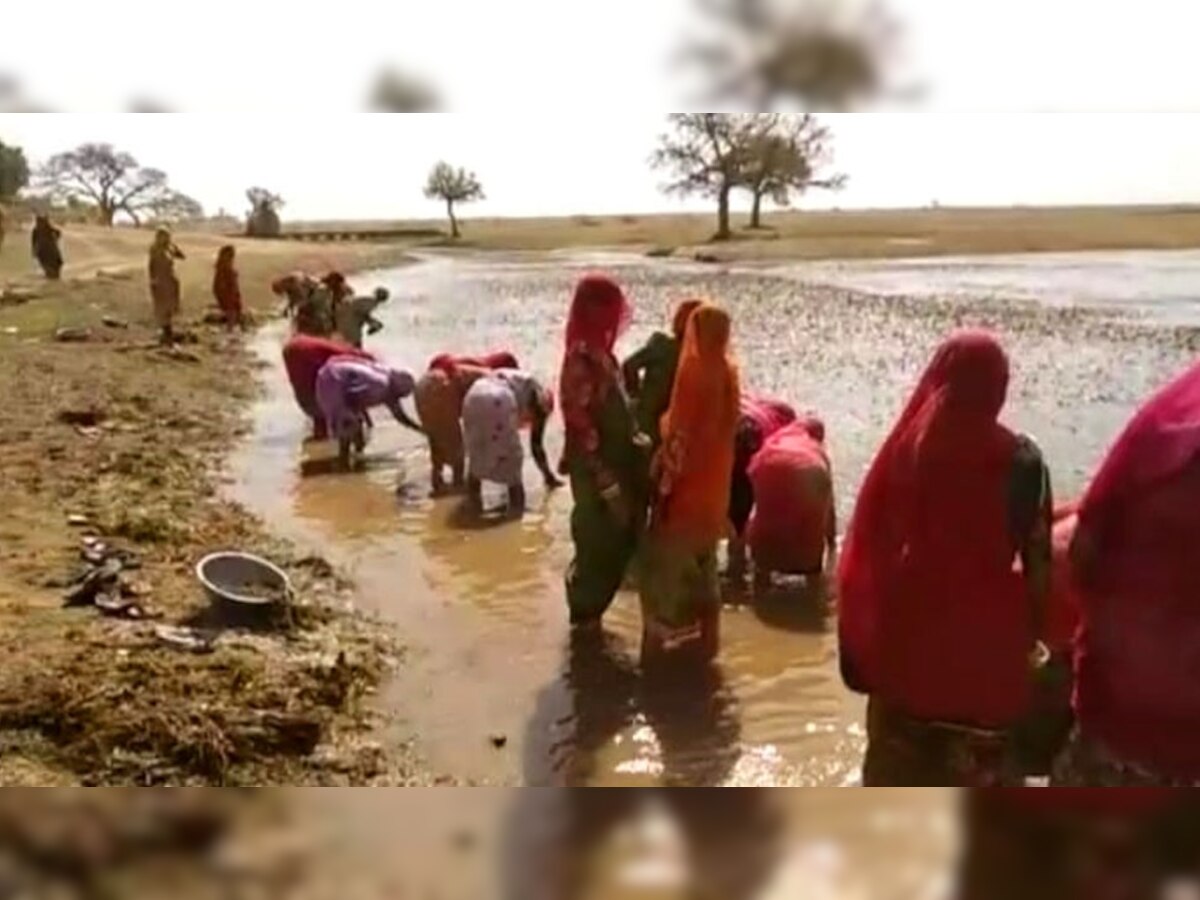 थार में पानी की किल्लत