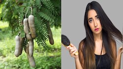 टूटते बालों से परेशान लोग ऐसे लगाएं इमली की पत्तियां, मजबूत होंगे हेयर, चमक बढ़ेगी