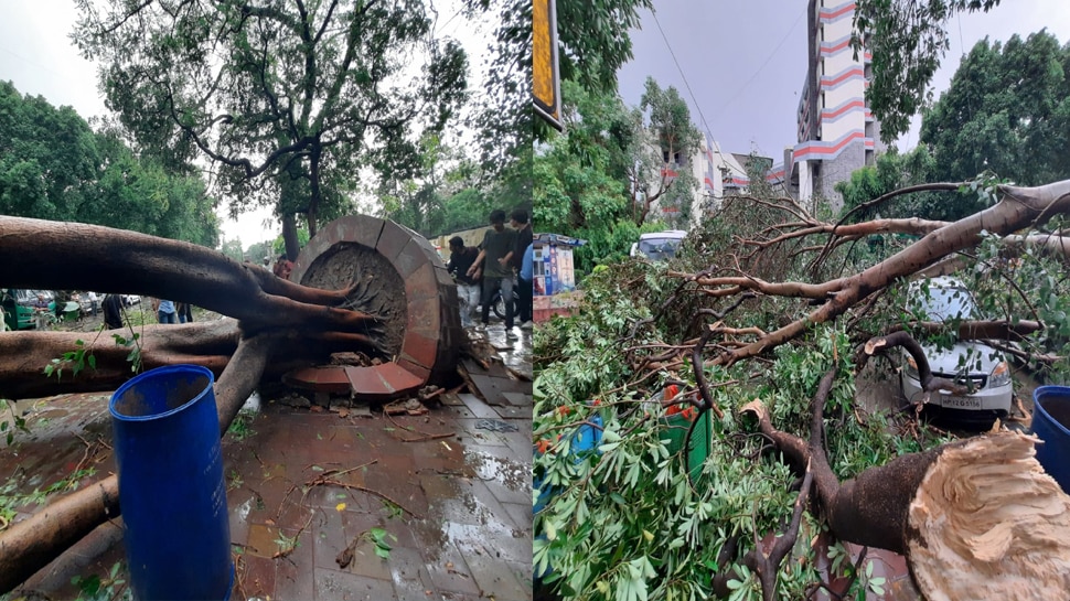Delhi-NCR Weather Update: दिल्ली-NCR में आंधी-तूफान के साथ झमाझम बारिश; कई जगह टूटे पेड़; ट्रैफिक जाम