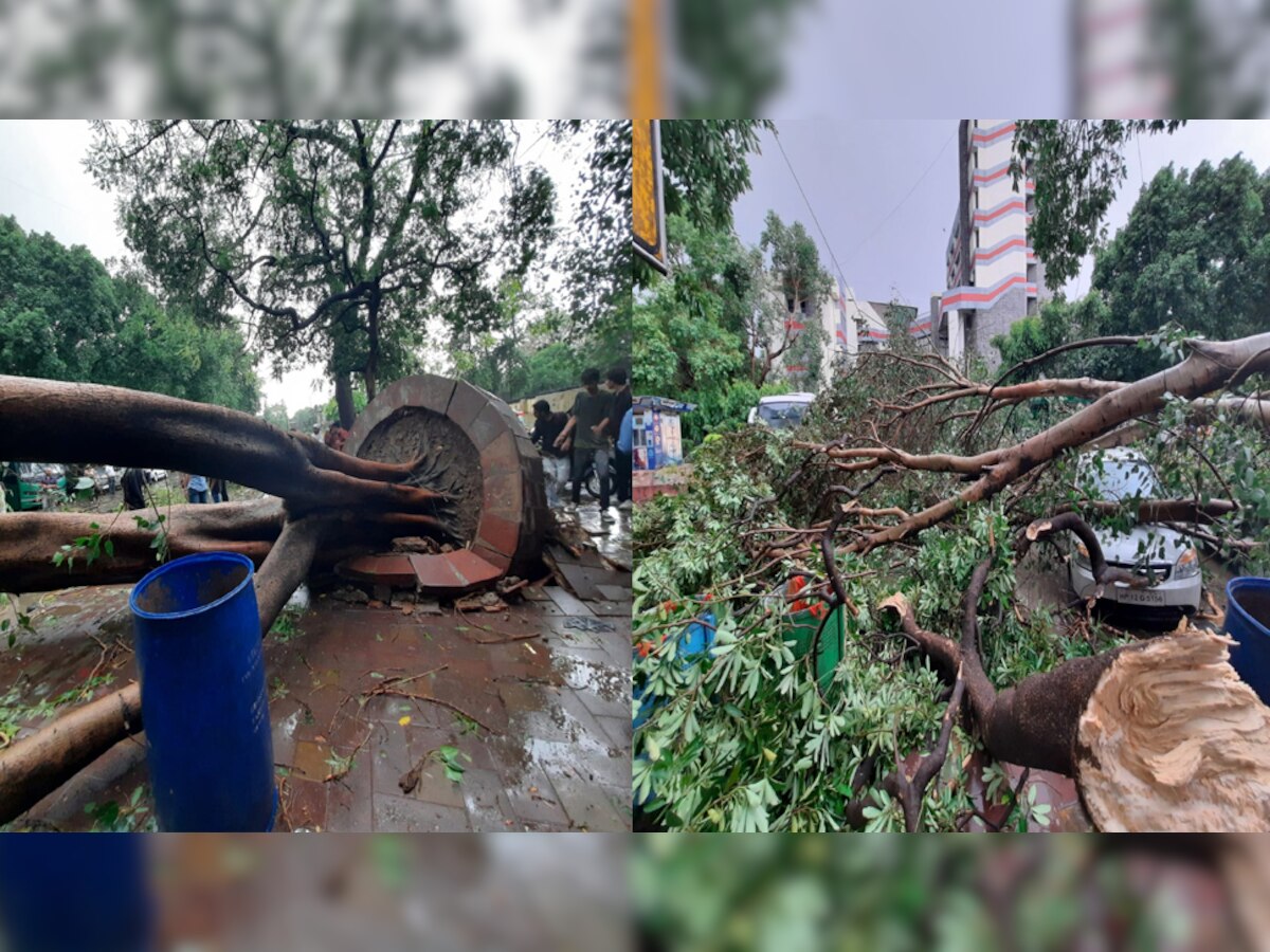 Delhi-NCR Weather Update: दिल्ली-NCR में आंधी-तूफान के साथ झमाझम बारिश, कई जगह टूटे पेड़; ट्रैफिक जाम