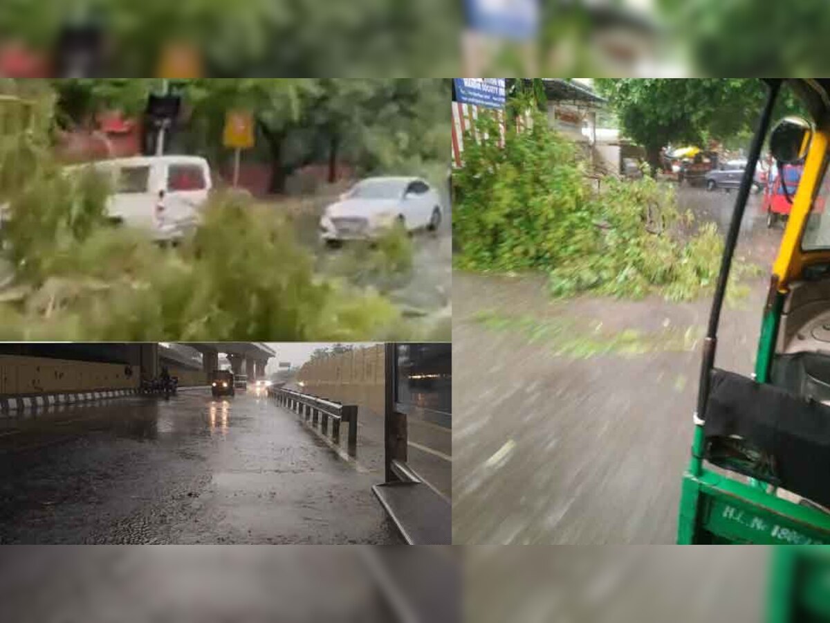 Delhi-NCR में भयंकर बारिश, कहीं पेड़ गिरे तो कहीं सड़कों पर भरा पानी