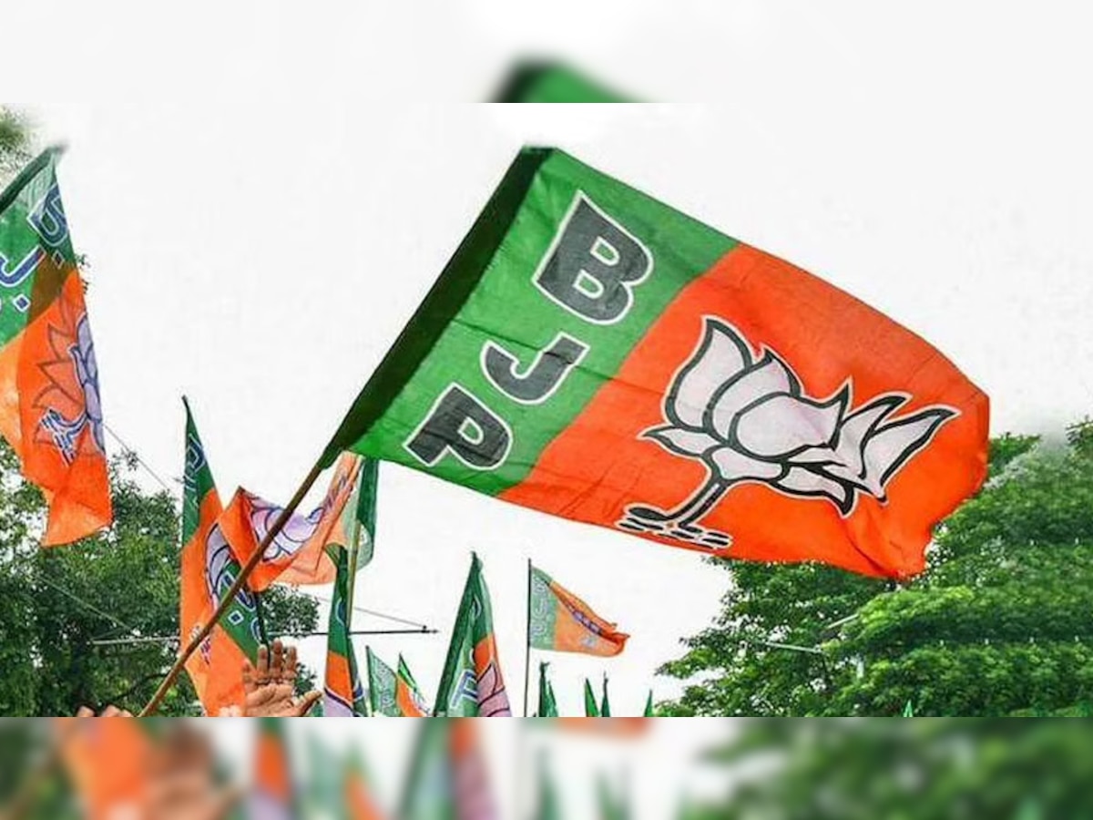 Rajya Sabha Election 2022: बीजेपी ने यूपी में 8 लोगों को दिया राज्य सभा का टिकट, इन दिग्गजों को होना पड़ा मायूस
