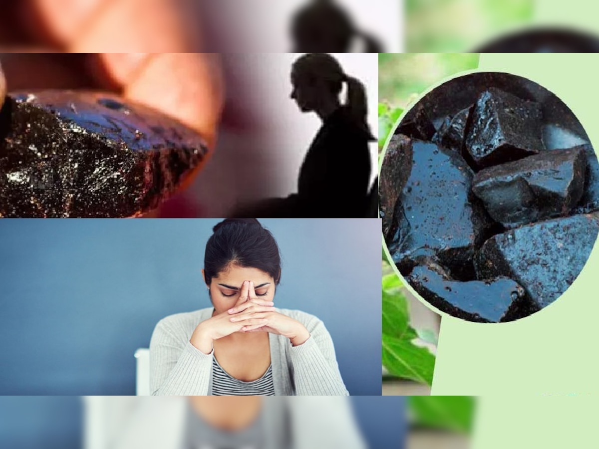 Benefits of Shilajit: पुरुषों ही नहीं महिलाओं को भी मिलते हैं शिलाजीत के फायदे, खा लें सिर्फ इतनी मिलीग्राम देसी वियाग्रा, मिलेंगे कमाल के लाभ