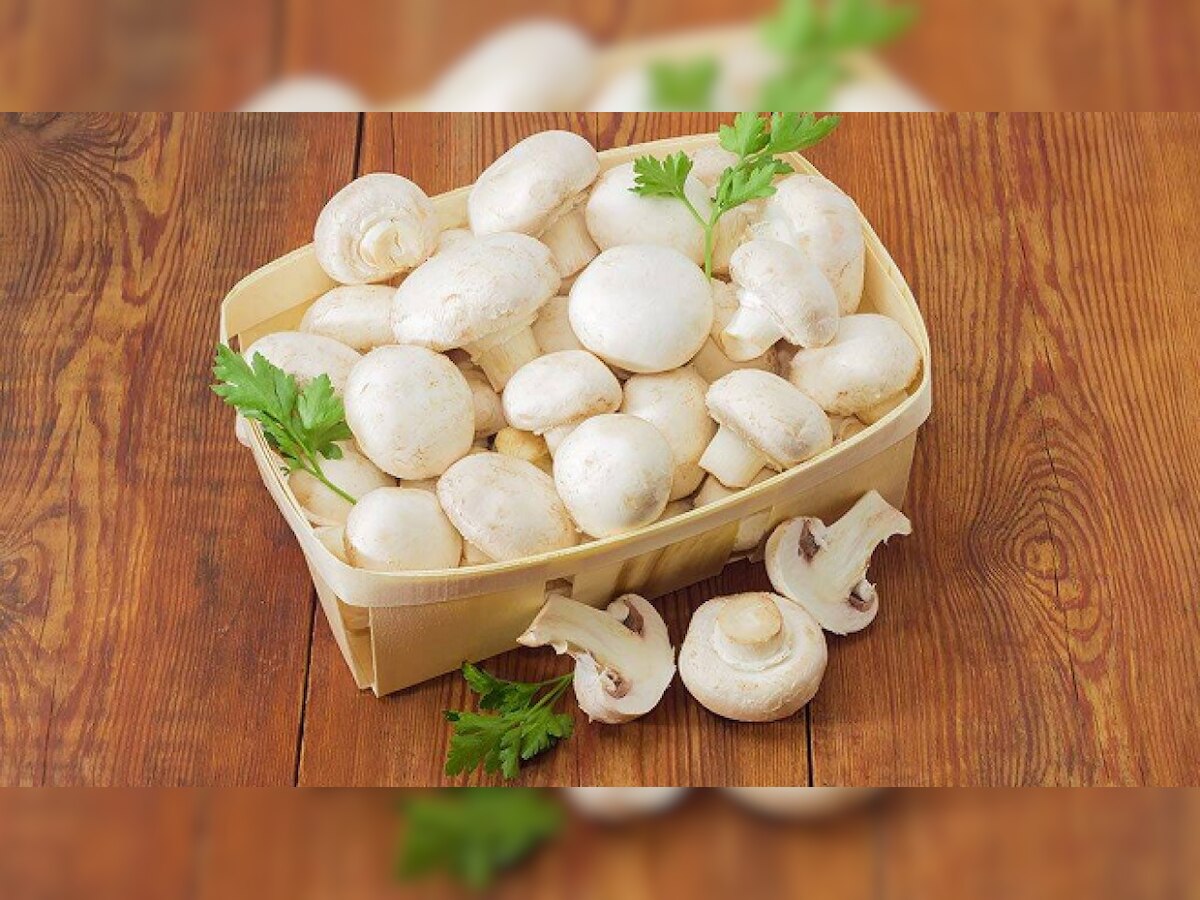 Mushrooms Benefits: डाइट में जरूर शामिल करें मशरूम, सेहत को मिलते हैं ये फायदे