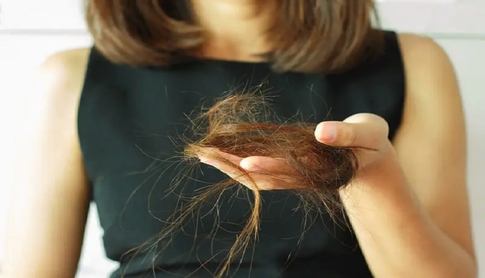 Healthy Hair Tips: बारिश के मौसम में हेयर फॉल की समस्या से हैं परेशान, अपनाएं ये टिप्स