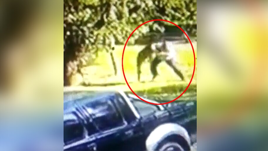 Video Viral: हमला करने आए 6 फीट के कंगारू को शख्स ने उठाकर पटका, देखिए