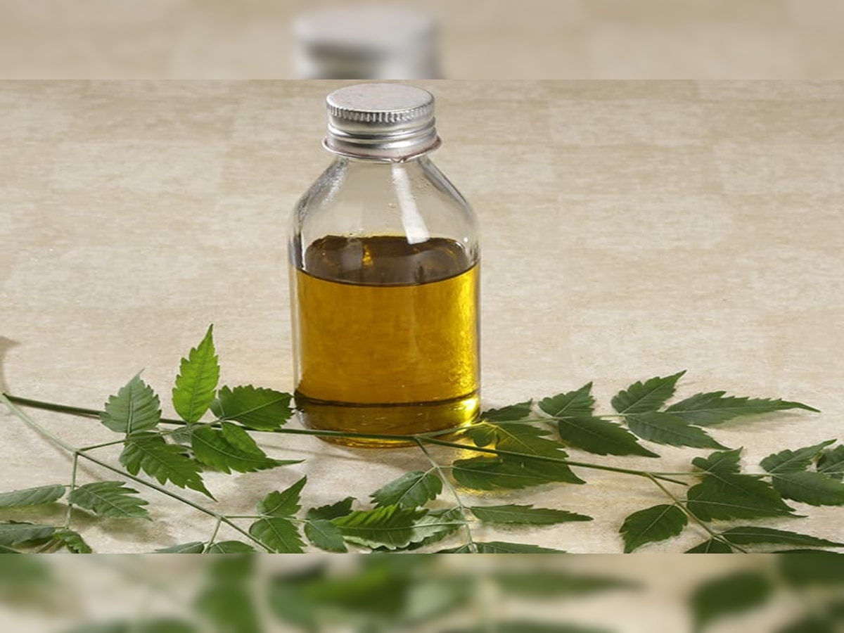 Neem oil benefits: नीम का तेल स्किन की सौ दिक्कतों का है एक इलाज; इन तरीकों से करें इस्तेमाल