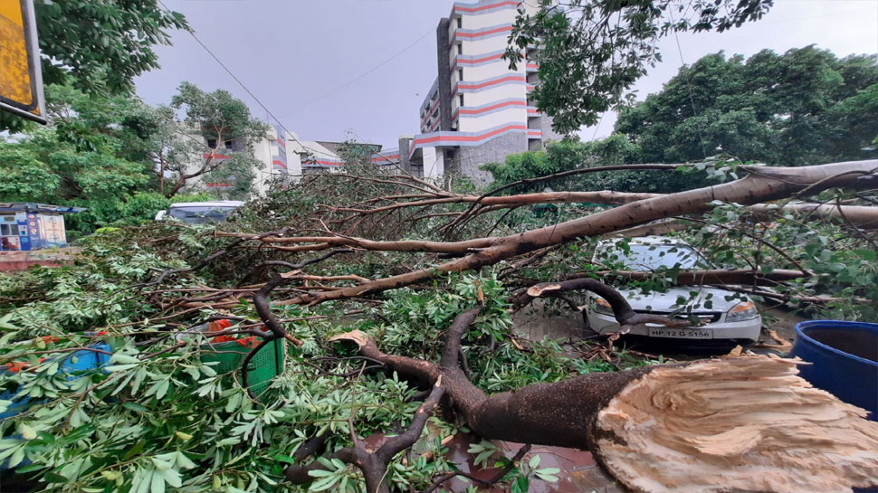 Trees Fallen: आंधी की चपेट में आए करोड़ों के पेड़, राजधानी में बरसा मौसम का कहर