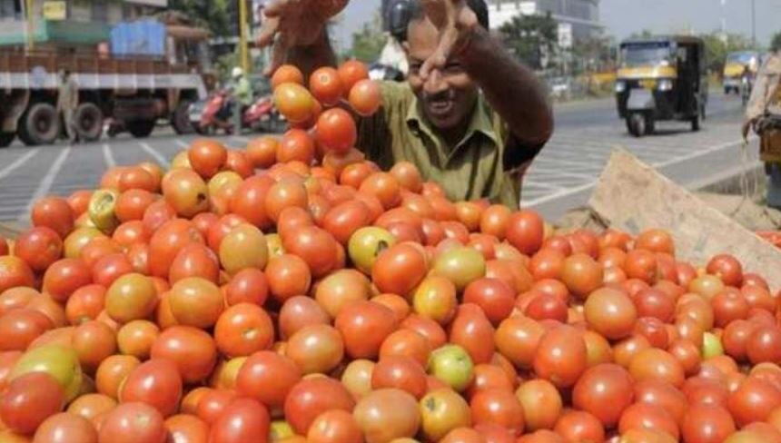 Tomato Price Hike: 80 रुपये प्रति किलो पर पहुंचा टमाटर का भाव, अभी और रुलाएगीं सब्जी की कीमतें