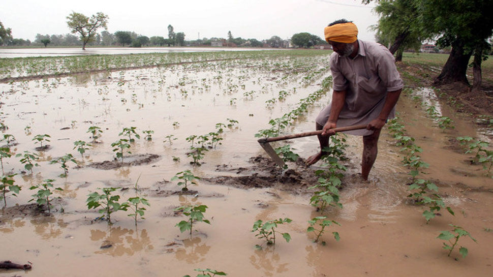 IIM Ahmedabad Launches Indias First Agri-land Price Index Farmers Know ...