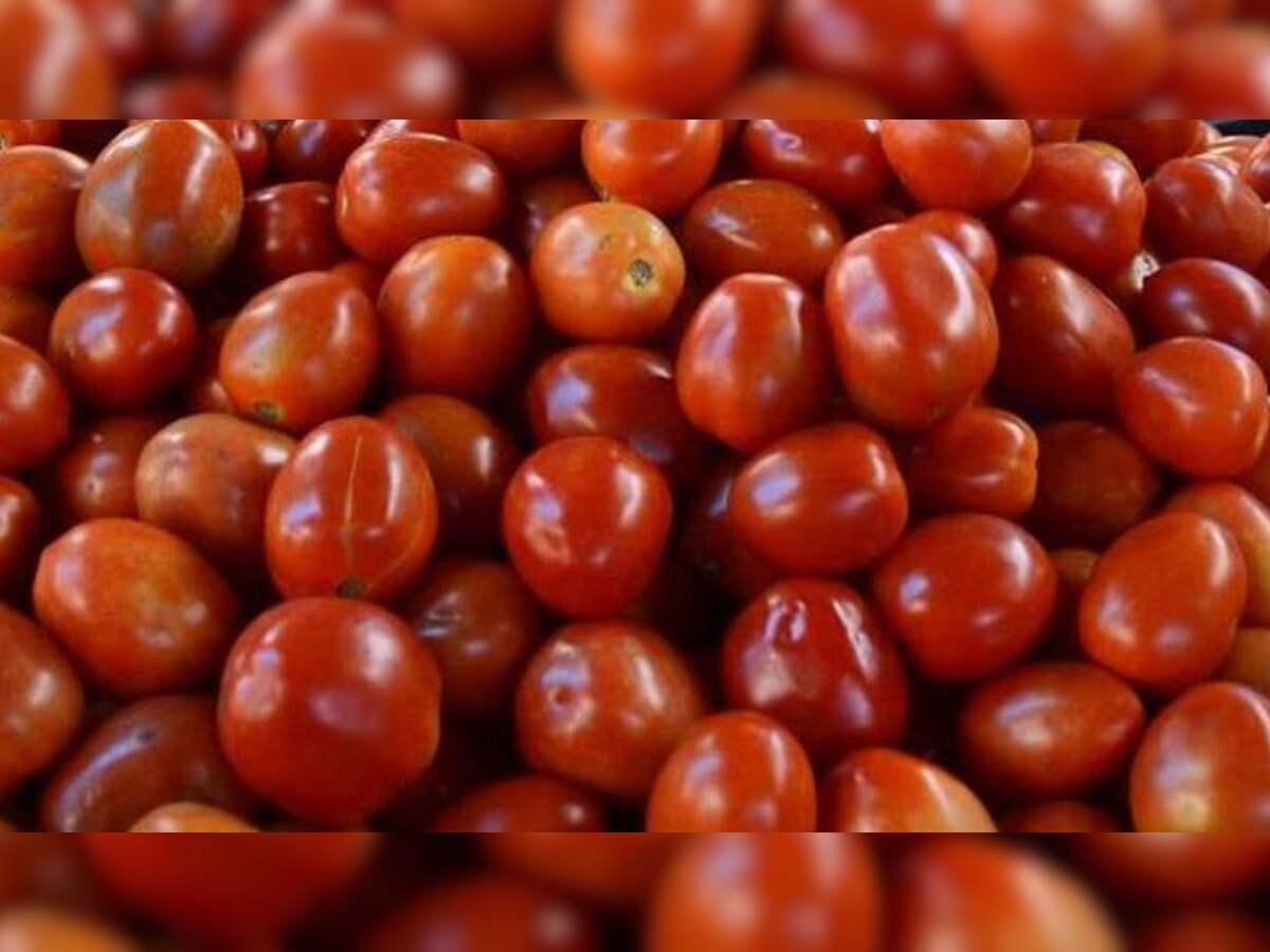 tomato price: आसमान छू रहीं टमाटर की कीमतें, जानें क्या है इसकी वजह?