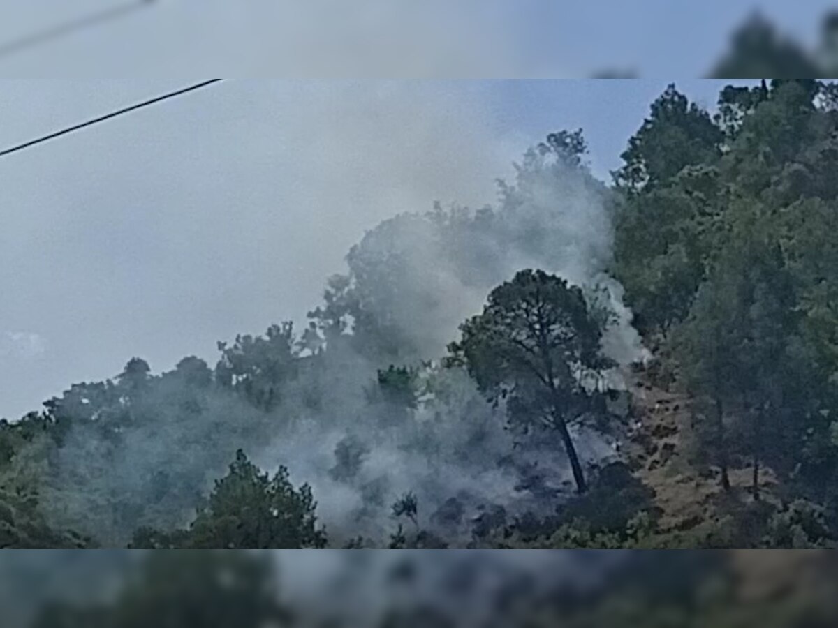 चंबा के जंगलों में फिर लगी आग, अधिकारियों ने कही कड़ी करवाई करने की बात