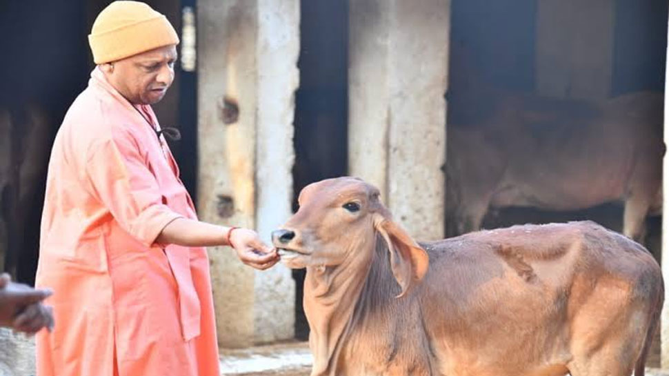 CM Yogi Adityanath 51th Birthday See Yogi Adityanath Childhood To Youth ...