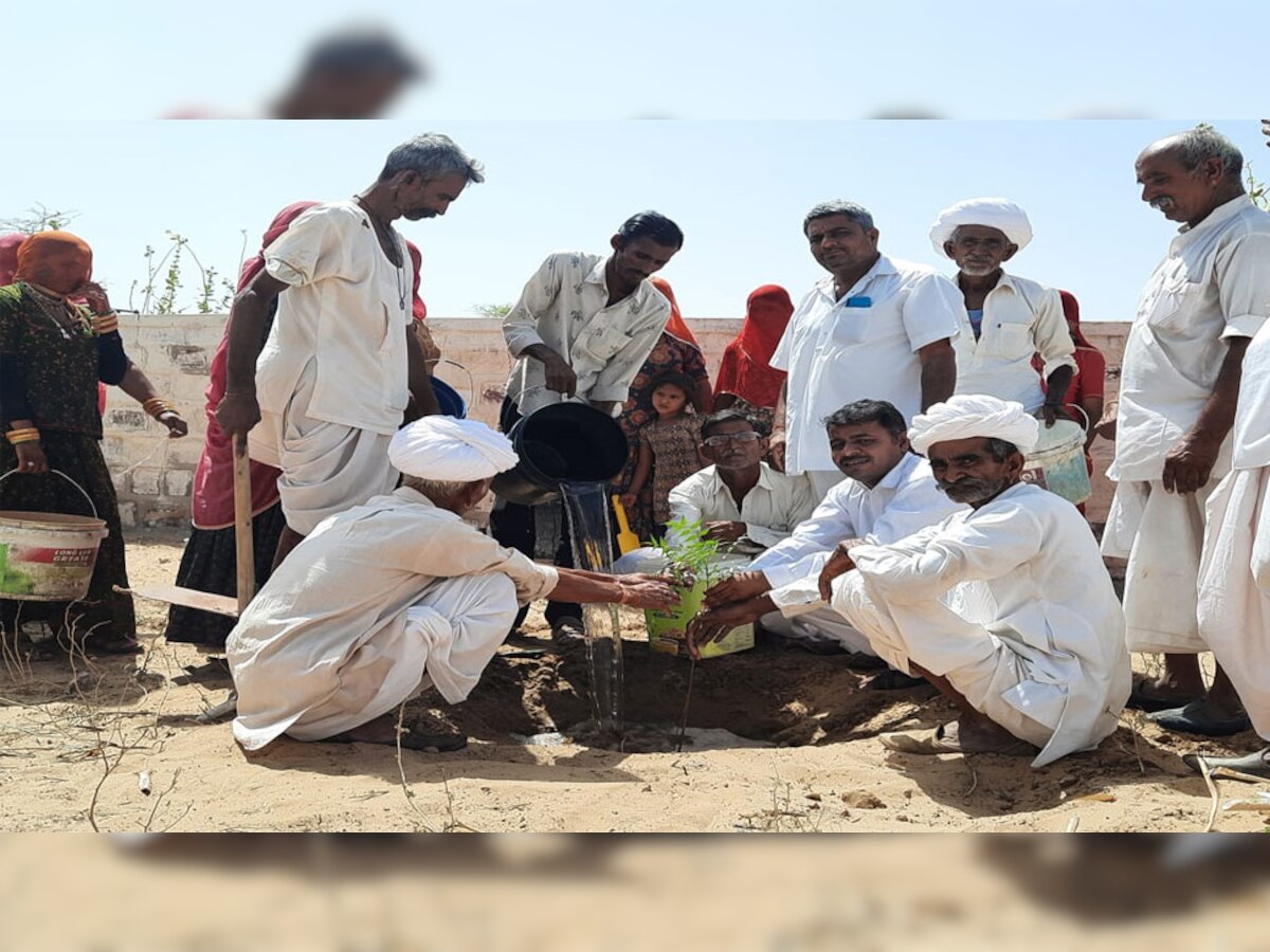 दुधाबेरा के ग्रामीणों ने पौधारोपण कर पर्यावरण संरक्षण का दिया संदेश. 