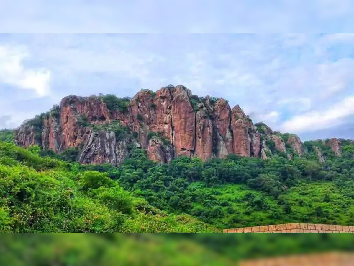 Indian scientists rediscover lipstick plant in Arunachal Pradesh after 100 years Indian