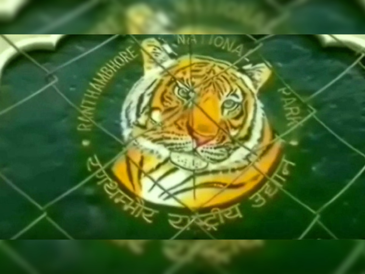 रणथंभौर में बढ़ा बाघों का कुनबा