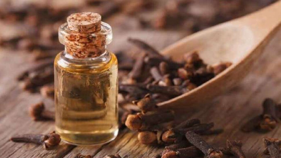 long ke tel ke fayde health Benefits of Clove Oil in hindi apmp Clove