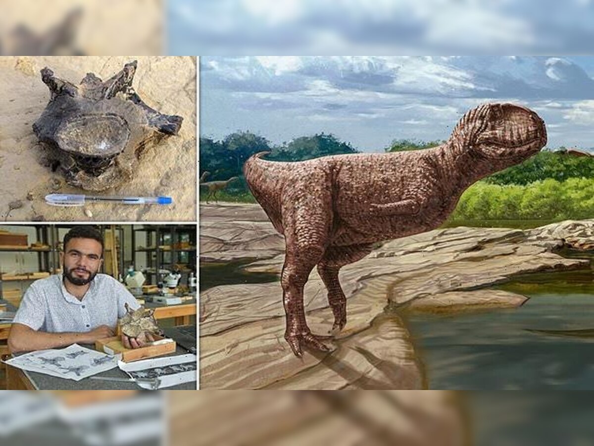 Bulldog faced Dinosaur: मिस्र में मिला 'बुलडॉग-फेस' डायनासोर! शोधकर्ताओं ने किया चौंका देने वाला खुलासा