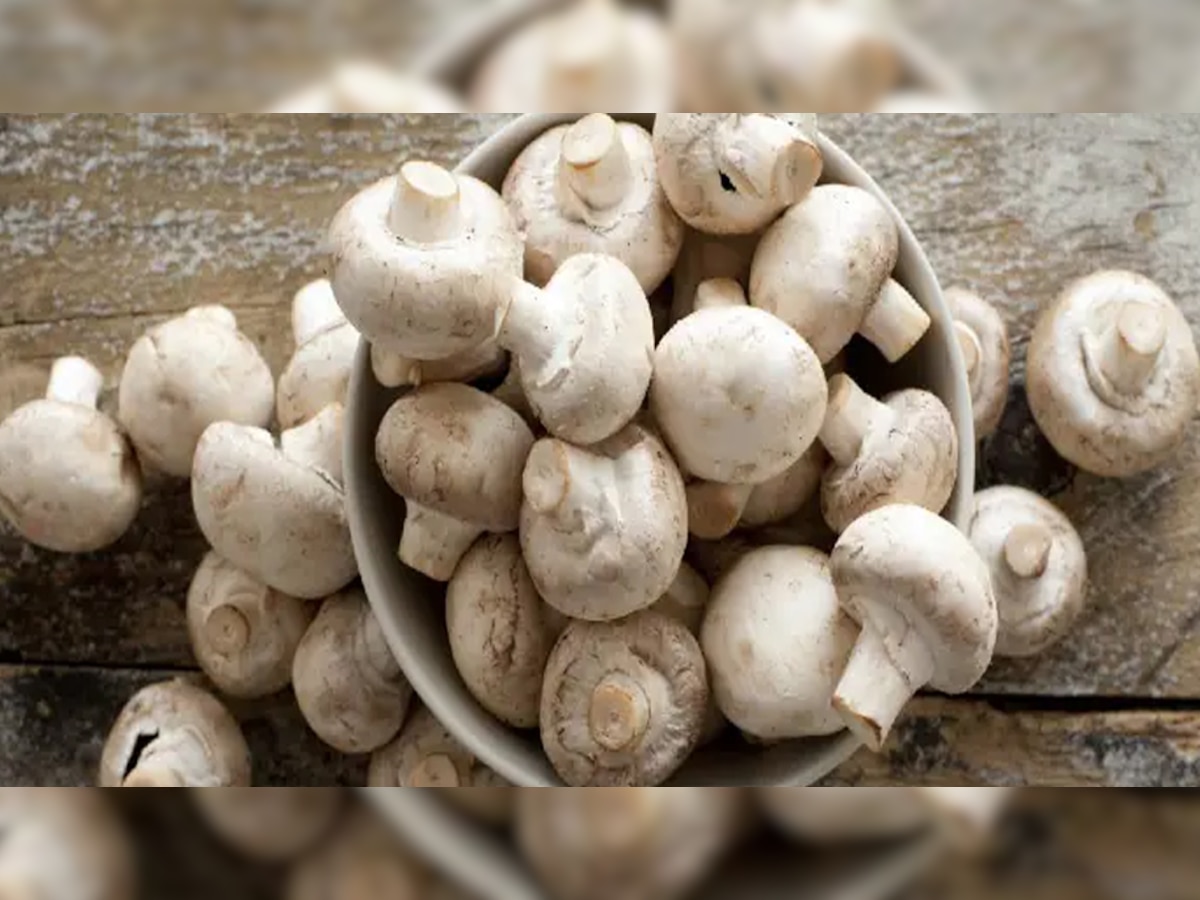 Mushroom benefits: क्या मशरूम शरीर को पहुंचाता है नुकसान; जानें कहते हैं एक्सपर्ट्स