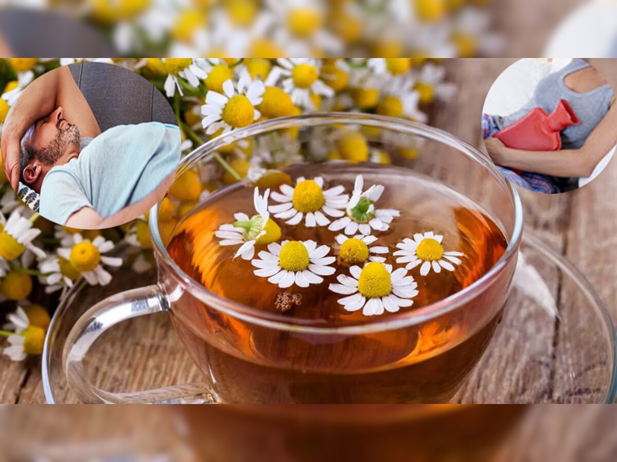 Chamomile tea benefits: कैमोमाइल चाय ना सिर्फ महिलाओं बल्कि मर्दों के लिए भी है फायदेमंद; इस तरह से करें सेवन