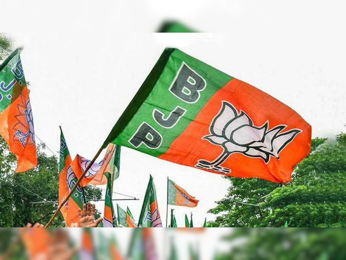 Rajya Sabha Election Result: राज्यसभा चुनाव में BJP को हुआ बड़ा नुकसान, अब भरपाई के लिए करना पड़ेगा इंतजार