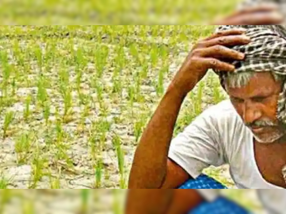PM Kisan Samman Nidhi:किसानों को लौटाना होगा सम्मान निधि का पैसा, जानिए क्यों ?