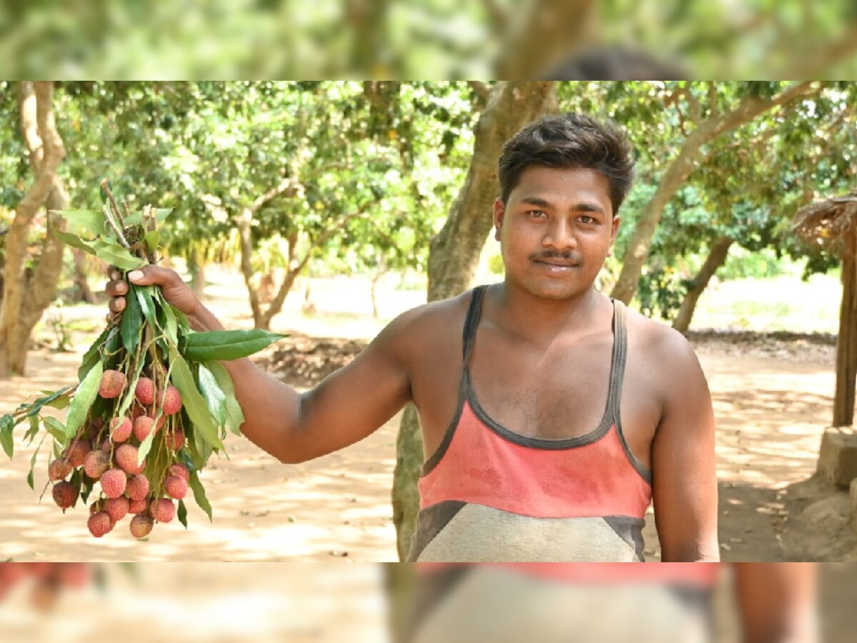 Lychee Farming: अब लीची से बनेगी अबूझमाड़ की पहचान, सीएम बघेल ने किसानों को दी ये बड़ी सौगात