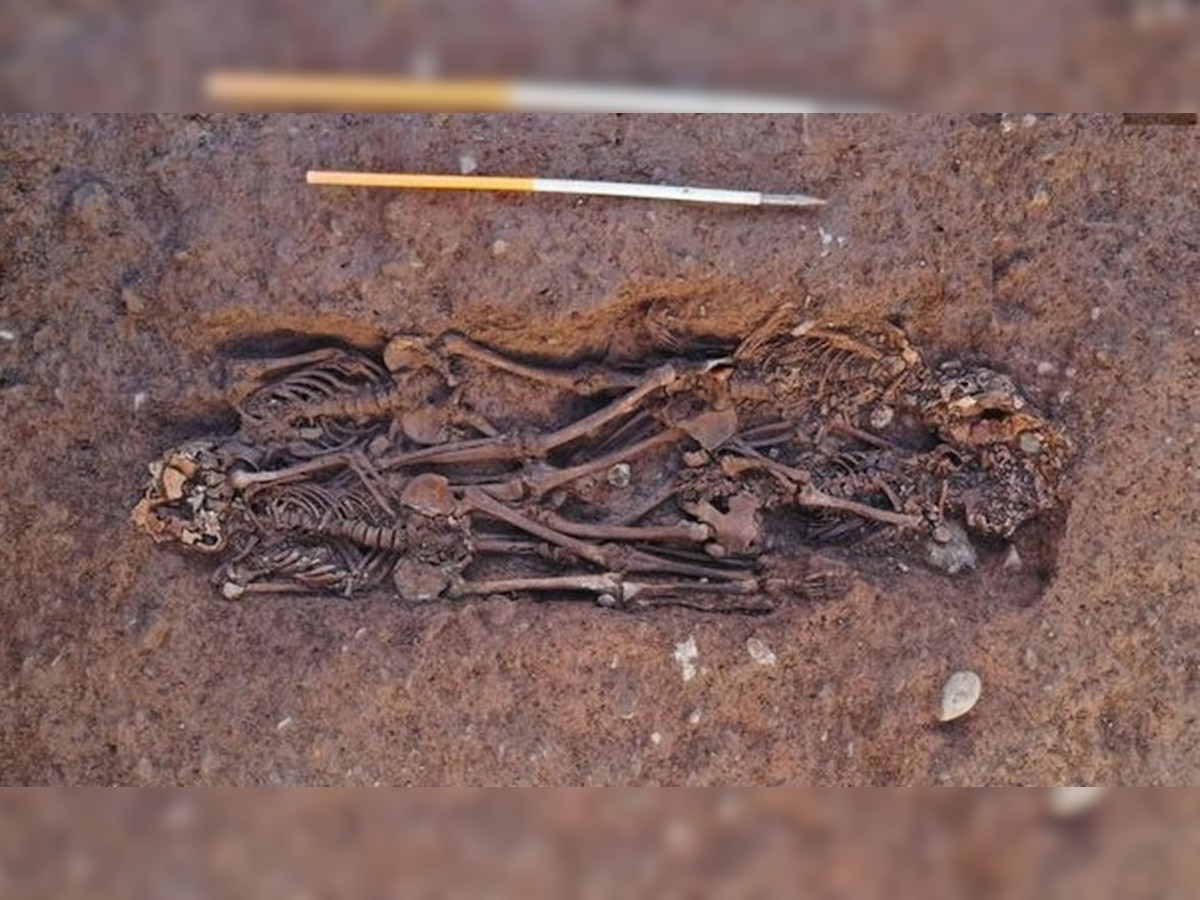Human Skeletons: पब के नीचे मिले थे 6 मानव कंकाल, 900 साल पहले भयानक तरीके से हत्या का खुलासा