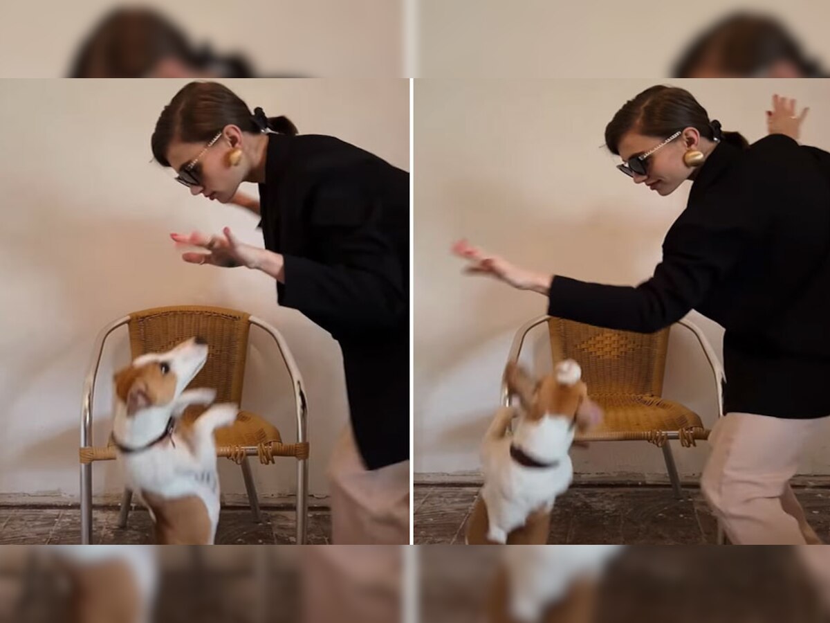 Dog Dancing: अपनी मालकिन के साथ ऐसे नाचा कुत्ता, VIDEO देख हंसते-हंसते लोटपोट हो जाएंगे आप